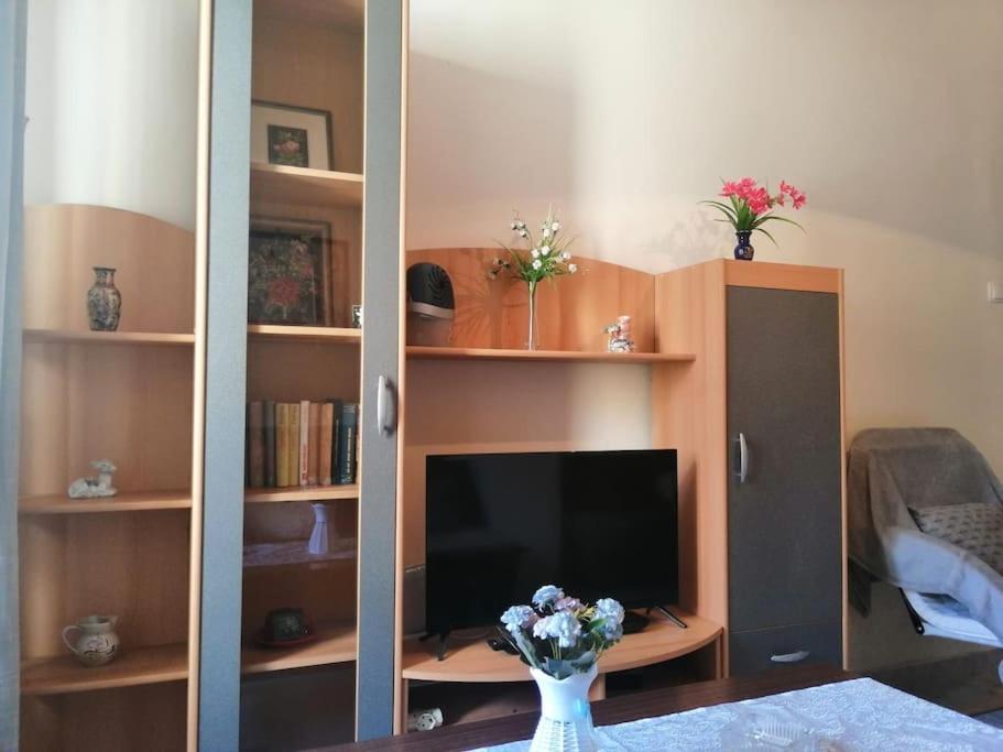 Apartment Micaela بولا المظهر الخارجي الصورة